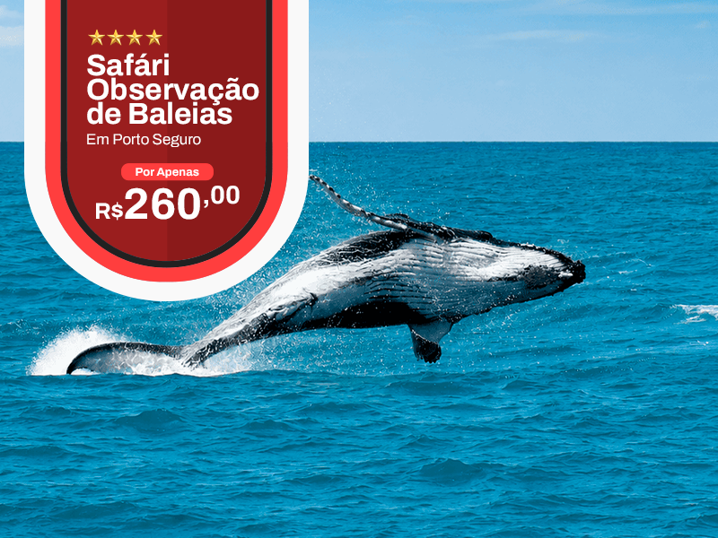 Passeio de Baleia